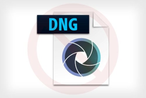 Why I Stopped Using the DNG File Format