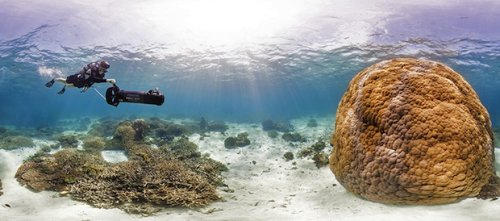 Beautiful Underwater Panoramas are Being Used to Help Scientists Save Coral Reefs