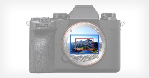 What is Crop Factor? Here is What You Need to Know