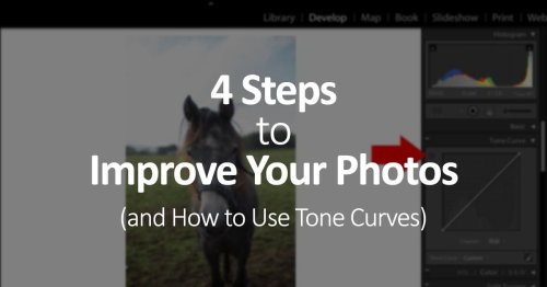 4 Steps to Improve Your Photos (and How to Use Tone Curves)