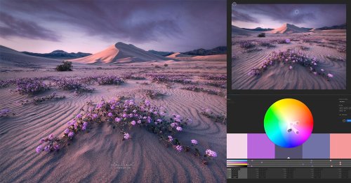 Creative Applications of Color Theory in Landscape Photography