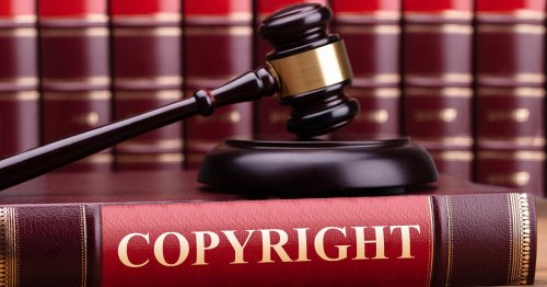 Photographer Awarded $6.3 Million in Copyright Infringement Trial