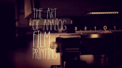 Photographer and Lab Owner Discusses the Art of Film Photography and Printing