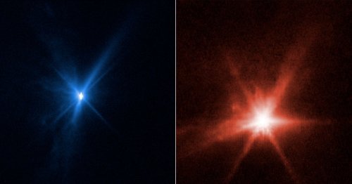 James Webb and Hubble Caught Detailed Photos of the DART Impact