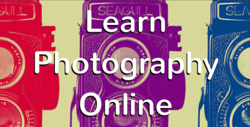 The Best Free Online Photography Courses and Tutorials