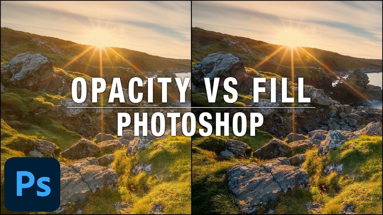 What is the Difference Between Opacity and Fill in Photoshop?