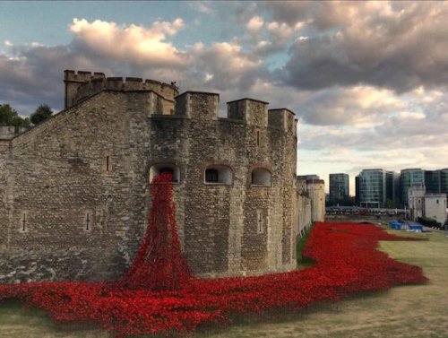 Breathtaking Photos of the Tower of London Adorned with 888,246 Ceramic Poppies to Commemorate WWI