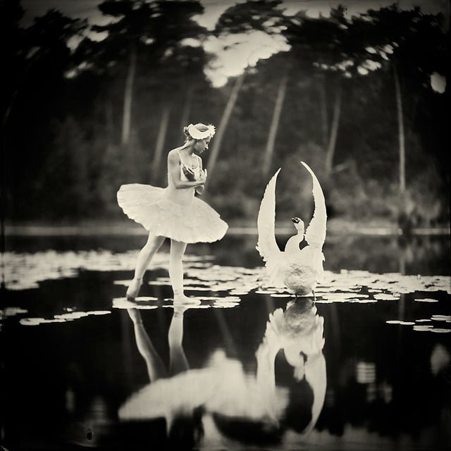 Shooting a Swan Lake Photo with Wet Plate Collodion Photography