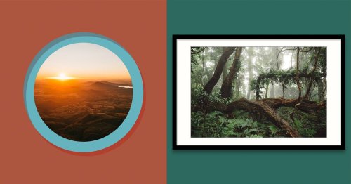 Like A Frame App Update Offers New Ways to Share Photos