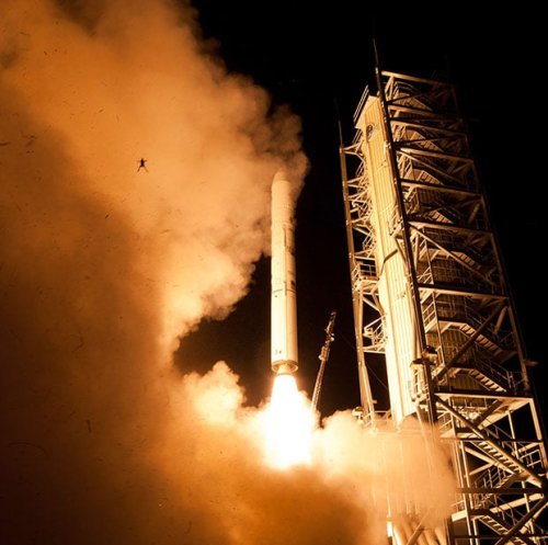 Frog Photobombs NASA Launch Photo