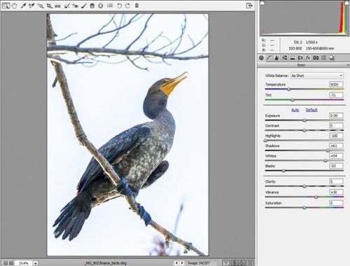 Here's a Trick for Adjusting Past +/- 100 in Lightroom and Adobe Camera Raw