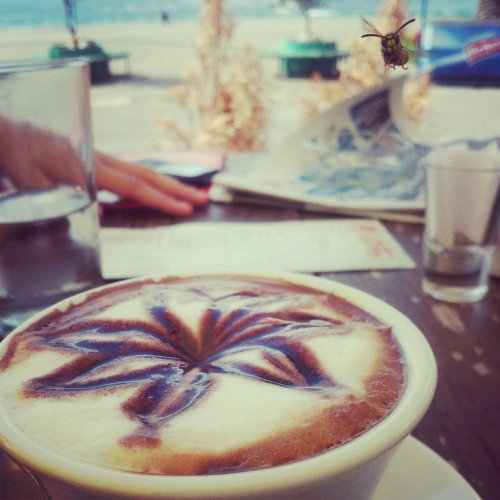 Typical Cappuccino Instagram Shot Turns Into Awesome Wasp Photobomb