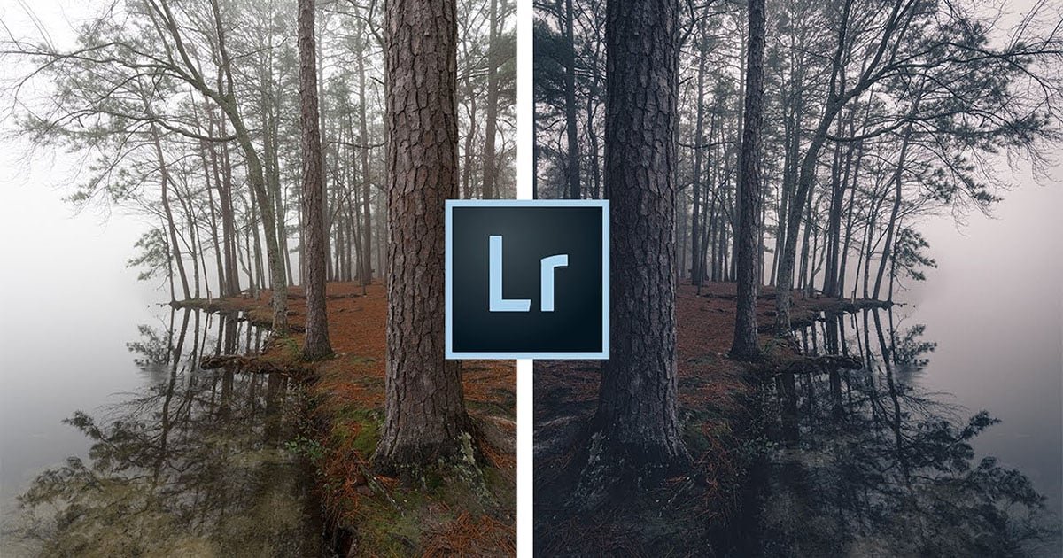 Flipboard banner for @turtles