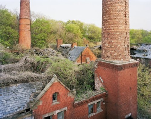 Photographer Explores NYC's Forgotten North Brother Island with a 4x5 Camera