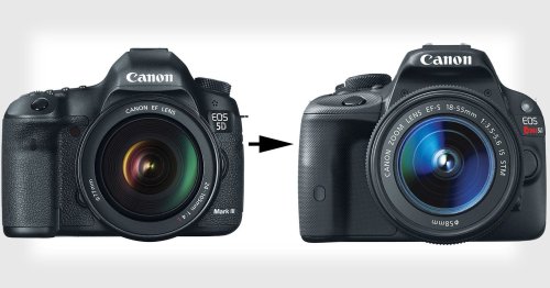 Why I Swapped My 'Pro' DSLR for the Cheapest One Available