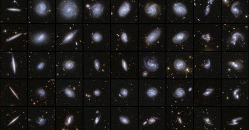 Euclid Telescope's First Survey Finds 26 Million Galaxies in Only One Week