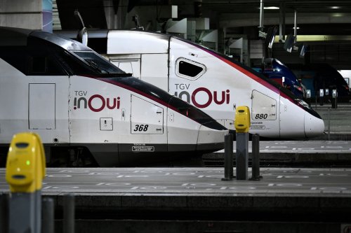 Katze in Frankreich absichtlich vom Zug überfahren – große Empörung