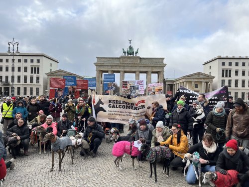 Galgomarsch in Berlin – Protest gegen die Tötung von Jagdhunden in Spanien