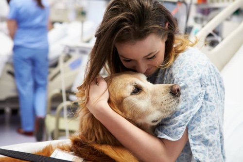 10 Women In the Pet Industry Redefining Leadership - Pet Content Solutions