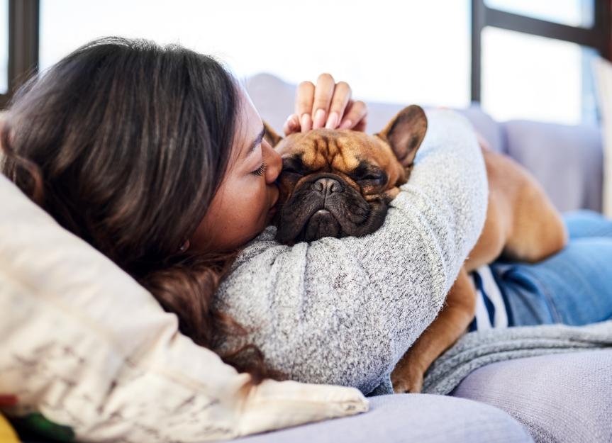 New Dog Guide for Pet Parents - cover