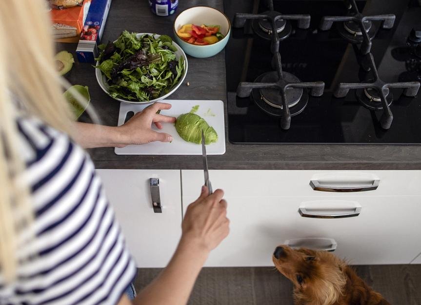 Can Dogs Eat Avocado?