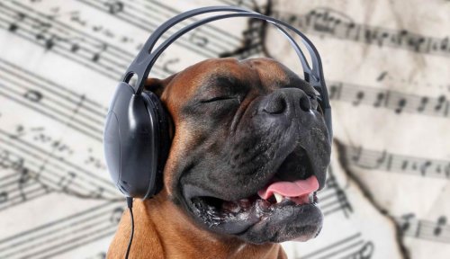 Magazine - JAZZ, Blues  & More