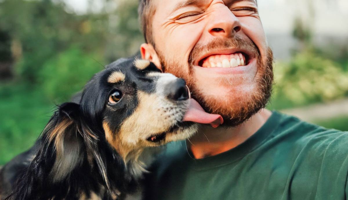 Dog Language Understanding How Your Dog Communicates Flipboard