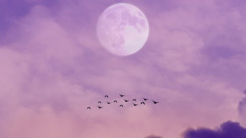 Wochenhoroskop: So stehen die Sterne vom 12. bis zum 18. Mai für dich