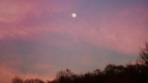Wochenhoroskop: Das halten die Sterne vom 19. bis 25. Mai für dich bereit