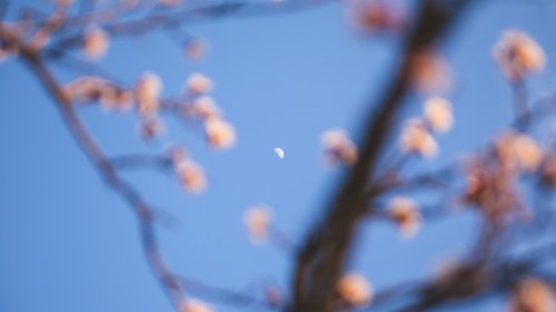 Wochenhoroskop: So wird das Osterwochenende vom 17. bis 21. April für dich