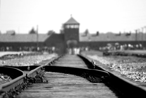 Books for Remembering and Learning More About the Holocaust