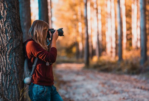 Cameras & Gear to Develop Your Nature Photography Skills