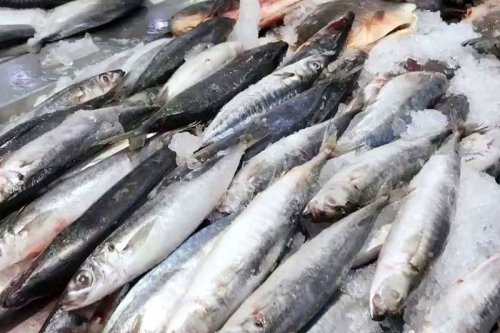 ‘Traders divert imported fish to evade VAT’