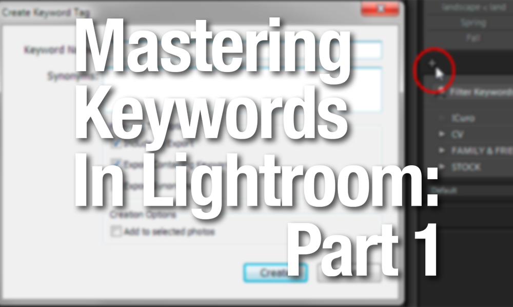 Mastering Keywords in Lightroom: Part 1