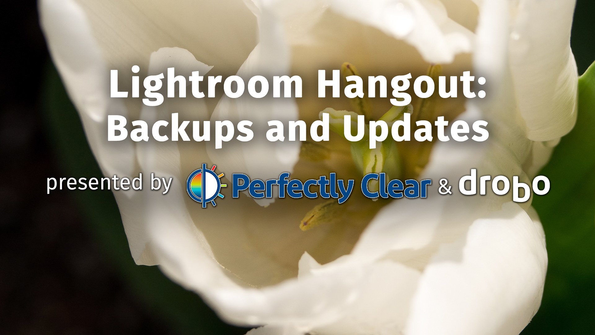 Lightroom Hangout: Backups & Updates with Mark Fuccio