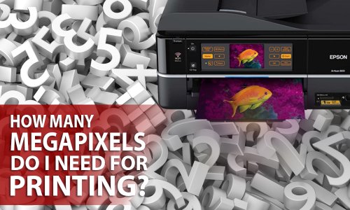 How Many Megapixels Do I Need for Printing?