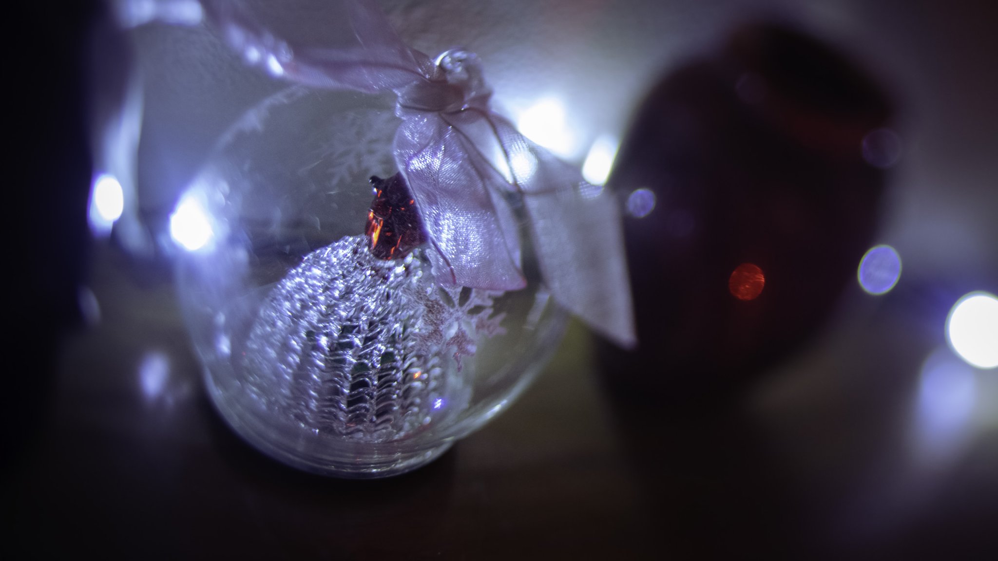 Those amazing lights: Bokeh for the holidays