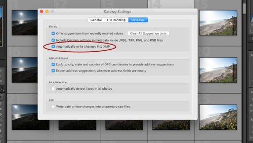 Automatically Generate XMP Files in Lightroom