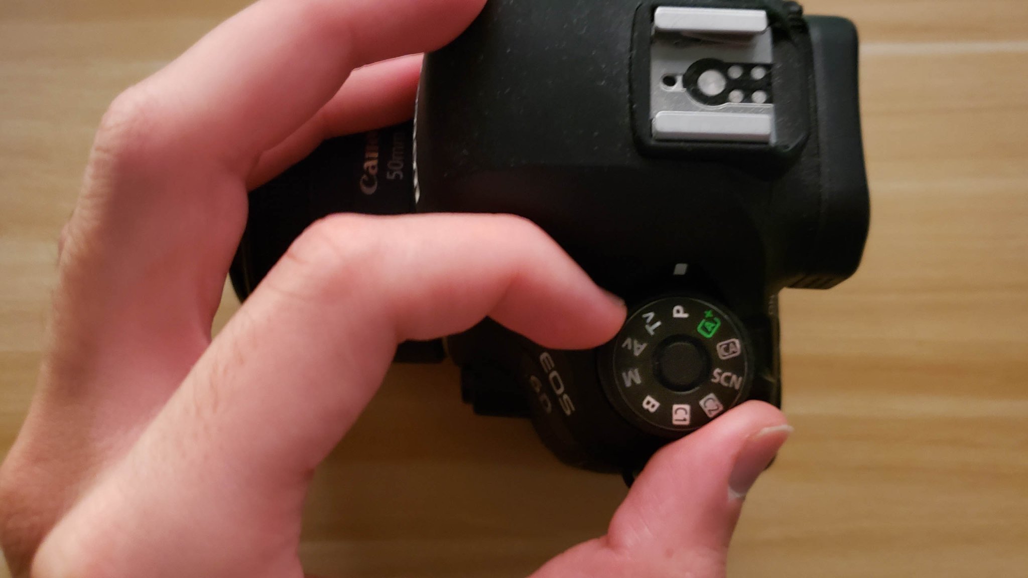 Photography 101: What is Program mode on a camera?
