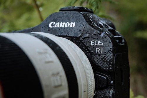 Canon: Keine hochauflösende Version der EOS R1 geplant