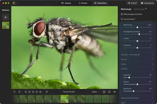 Luminar Neo 1.24 bringt Auto Adjust, neues Exportmenü und Workflow-Optimierungen