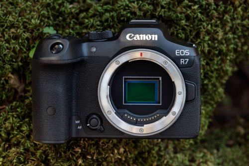 Canon EOS R8 / R9: Noch eine neue Kamera?