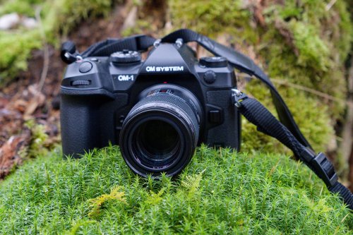 Makrofotografie: Einstellungen und Hilfsmittel für gelungene Aufnahmen