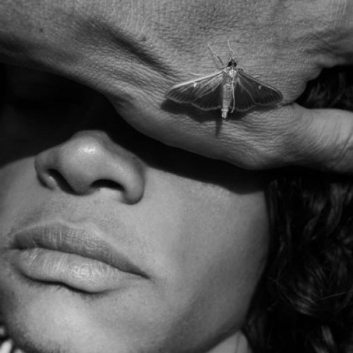 Les Photographiques