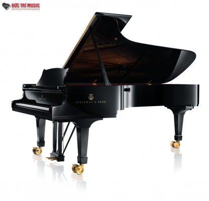 Đàn Piano pianoductri cover image