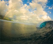 Surf Photographer Captures "A Perfect Moment"