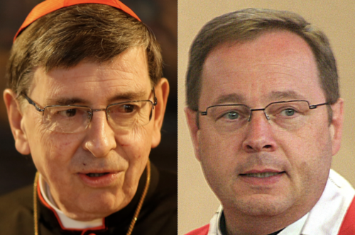 The ‘Hitler card?’ Why Vatican cardinal and German bishop are clashing after ‘Nazi’ remark