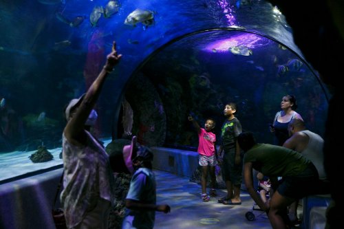 Owners of Dollywood, Ripley’s are interested in Virginia Aquarium, but foundation not on board