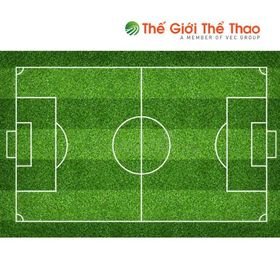 Sân bóng TheGioiTheThao (sanbongthegioithethao) - Profile | Pinterest