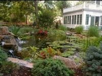 540 Water Feature Pros ideas | water features, aquascape, water